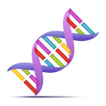 Genetic testing for personalized pain medicine
